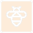 Connexion bouton